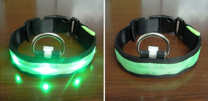 Pomeranian Husky Small And Medium-Sized Big Dog Smlxl Luminous Led Pet Collar