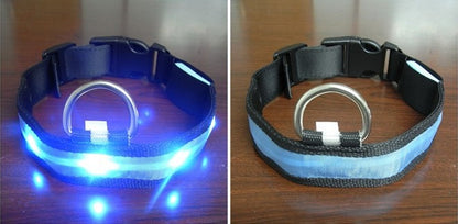 Pomeranian Husky Small And Medium-Sized Big Dog Smlxl Luminous Led Pet Collar