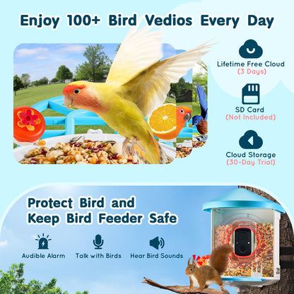 Smart Bird Feeder With Camera AI Identify 10000+ Bird Specie Solar-Powered