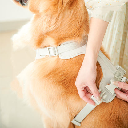 Harness Vest Morandi Large And Small Dogs Walking Outdoors