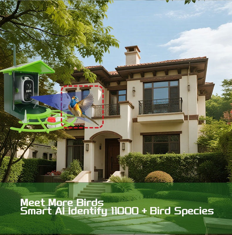 Smart Recognition Birdwatching Feeder With Camera And Solar Power