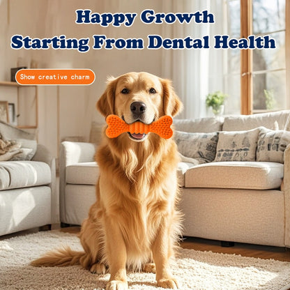 Dog Chew Toys, Dog Toothbrush Care Cleaning Sticks, Dog Toothbrush Chew Toy Sticks For Dog Dental Care - Safe, Teeth Cleaning Chew Bones, For Large, Medium, Small Dog Puppies - Random Colors