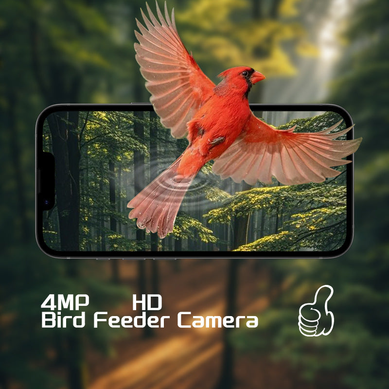 Smart Recognition Birdwatching Feeder With Camera And Solar Power