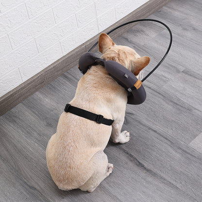 Dog Anticollision Coil Ring Pet Collar